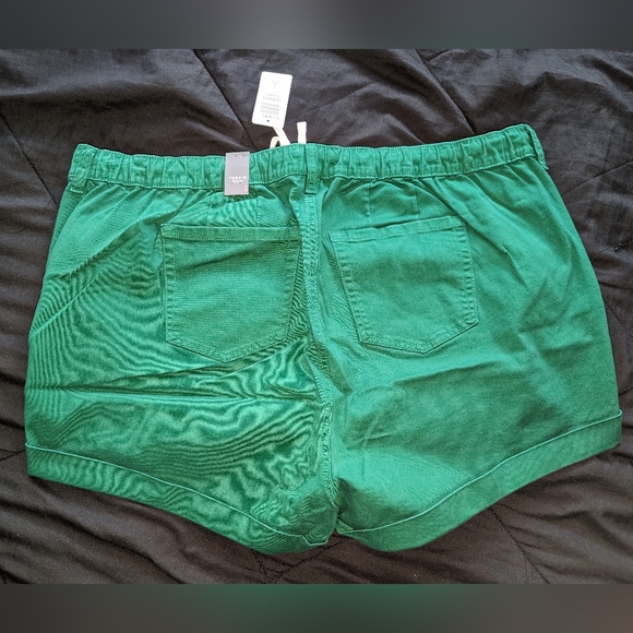 NWT Torrid 3.5 inch pull-on weekend stretch twill short, green - Picture 4 of 6